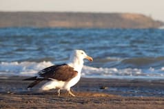 ¿Dónde están?: Cristiano Muerto, Saturno, Indio Rico y otras 6 localidades con nombres curiosos para descubrir