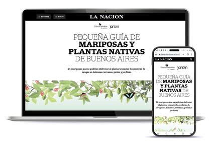 En los premios GDA hubo una mención honorífica en la categoría "Medio Ambiente" para el trabajo "El desafío de repoblar las ciudades con mariposas a través de biocorredores de plantas nativas", de Florencia Coelho