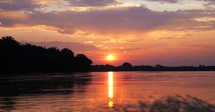 En los ríos Meta y Cravo Sur conviven, además de delfines rosados y tortugas, anguilas eléctricas y pirañas