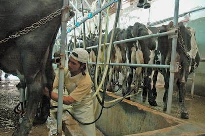 La señal de alarma detrás del boom productivo de la lechería