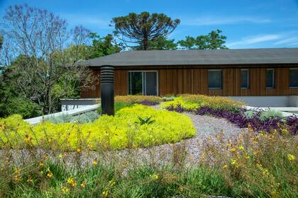 En los techos verdes, los sustratos y las plantas actúan como una capa de aislamiento que reduce la transferencia de calor y frío entre el exterior y el interior del edificio