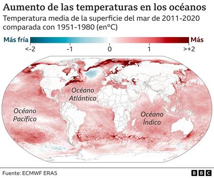 En los últimos años hemos sido testigos de numerosos desastres naturales que los científicos relacionan directamente con el calentamiento de los océanos