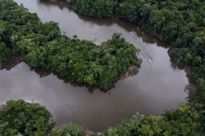 En los últimos años, los ríos de la selva amazónica registraron niveles de agua inusualmente bajos