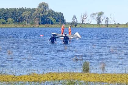 En los últimos días se reactivó la búsqueda de Loan