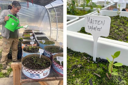 En los viveros Isla Victora y Usina de nativas, se recuperan especies nativas para preservar la ecodiversidad.