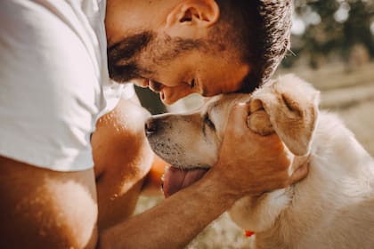 En lugar de centrar la atención en el error, la educación canina sugiere premiar la conducta deseada en el momento justo en que ocurre para que el perro asocie el premio con su acción
