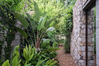 En lugar de elegir especies de manera individual, el paisajismo organiza la plantación en niveles para ganar altura y generar atmósferas