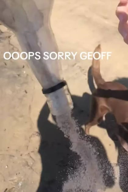 En lugar de papel, lo que salió de la botella dejó perpleja a la pareja que encontró el envase en el mar