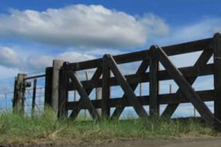 Por qué hay menos explotaciones agropecuarias