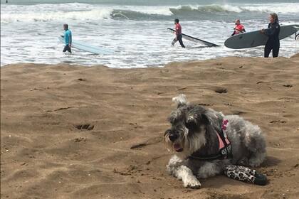 En Mar del Plata, donde comenzó a gestarse el cambio de vida