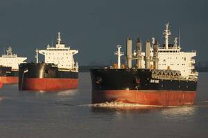 En mayo creció 21,8% la liquidación del sector agroexportador