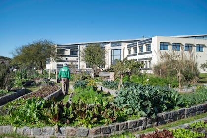 En medio de la ciudad, la gran huerta se destaca como un oasis vegetal