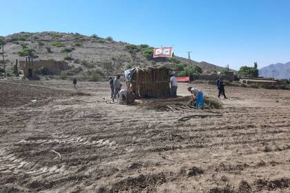 En medio de un lote arado y listo para rayar y sembrar en la finca de los Wayar, instalaron una casa e izaron su bandera