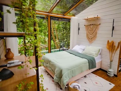 En medio del bosque: habitación en la cabina de cristal, en Barra da Tijuca