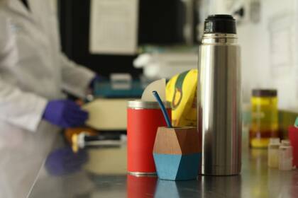 En Mendoza, científicos demuestran el "efecto protector" de la yerba frente al cáncer de próstata