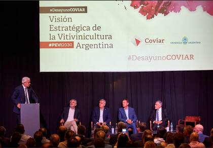 En Mendoza, el ministro de Agricultura, Julián Domínguez, participó de la Vendimia