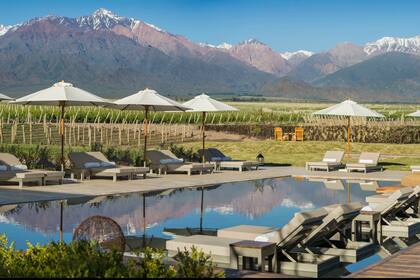 En Mendoza. En vines los valores de los viñedos de una hectárea rondan los US$250.000