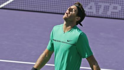 En Miami, Del Potro sufrió otra frustración