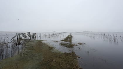 En muchas regiones de Buenos Aires, como en Bolívar, enfrentan problemas para el inicio de la campaña agrícola