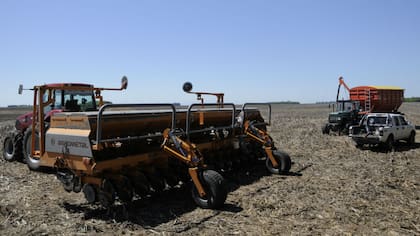 Las relaciones insumo/producto son favorables en granos contra fertilizantes y herbicidas y malas contra gasoil, labores, servicios y maquinaria por la inflación en dólares