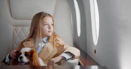 En muchos países los animales están integrados socialmente y pueden acceder a sectores públicos o privados, desde entrar a un banco, aeropuertos, oficinas o shoppings