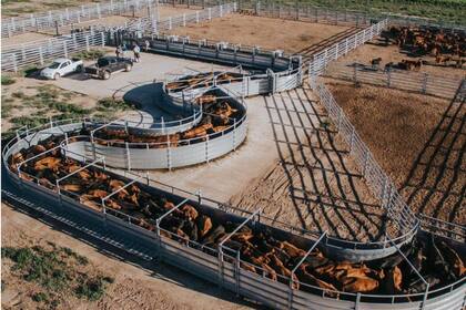 En normal funcionamiento, la compañía fabrica corrales de material galvanizado