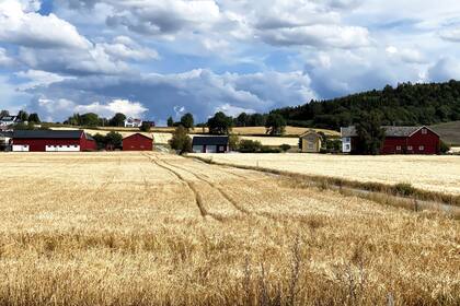 En Noruega, la población está integrada a la naturaleza.