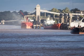 En noviembre la agroindustria tuvo las mejores exportaciones en 10 años
