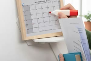 Qué pasa con el viernes 21 y el lunes 24 de noviembre