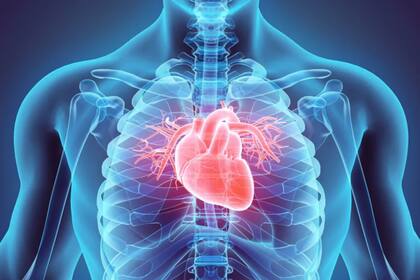 En nuestro cuerpo todo está interconectado