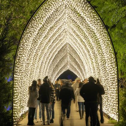 En Nueva York habrá eventos de luces navideñas para celebrar la temporada en familia o con amigos (Archivo)