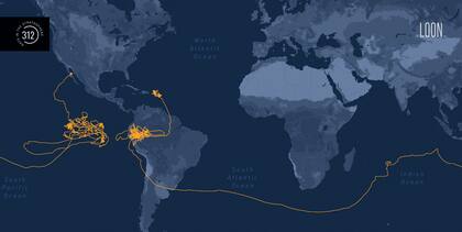 En octubre de 2020, la compañía confirmó que uno de sus globos había estado 312 días volando alrededor del mundo, usando las corrientes de aire de la estratósfera para viajar