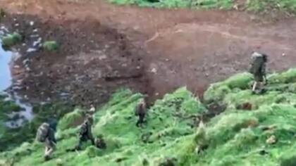 En octubre pasado un grupo de adolescentes filmó a Phillips junto a sus tres hijos