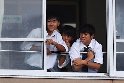 El compañerismo es el ingrediente clave para sobrevivir en las escuelas