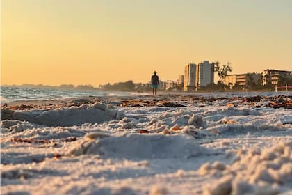 En Orlando, las mínimas podrían caer hasta los 30°F (-1,1°C)