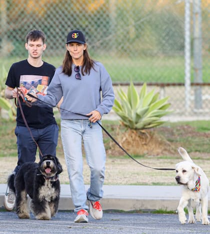 En otra parte de la ciudad, su ex Jennifer Garner disfrutaba del mismo paseo por el parque junto a sus mascotas. La actriz contó con la ayuda de un adiestrador para entrenar a sus enérgicos cachorros