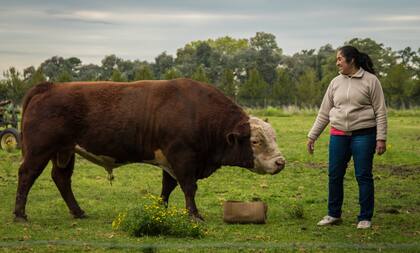 En otras palabras, se busca diversificar las áreas de alimento del ganado para mejorar su calidad de vida, y promover buenas prácticas ambientales que minimicen el impacto ambiental y la conservación de los bosques y su biodiversidad
