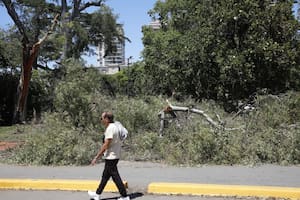 Los barrios que siguen más afectados tras el temporal: quedan 22 calles cortadas