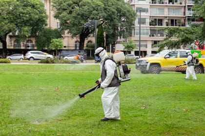 En parques y plazas públicas se aplica otro tipo de fumigación para eliminar el mosquito silvestre, el que no trasmite dengue