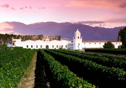 En Patios de Cafayate, la cava del restaurante es la misma bodega donde se realizan los vinos de El Esteco