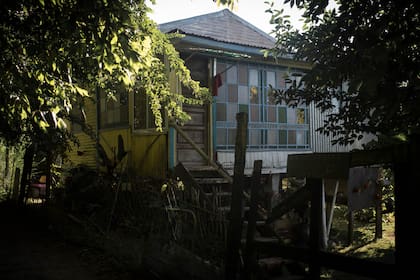 En Paulino, la vegetación es frondosa y amenaza con cubrir las viviendas.