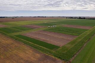 En un campo exploraron otra forma de producir y los resultados fueron contundentes