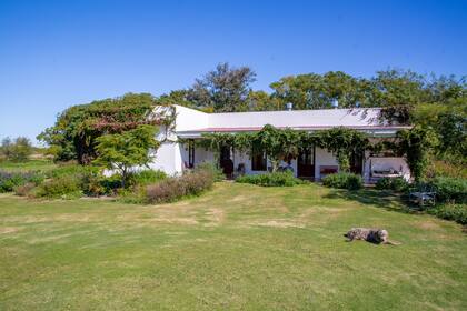 En perspectiva, la galería de la casa del campo "Los galgos", en Luján. “Fui armando este lugar de a poco: primero un galpón de chapa y el molino y, después, una habitación con baño”, dice su dueña.