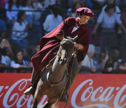 “En petiso por Areco” propone una experiencia educativa donde los chicos aprenden respeto, responsabilidad y trabajo en equipo a través del caballo
