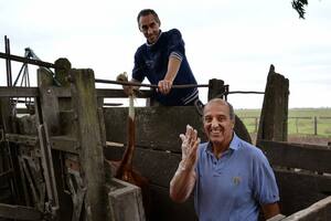 La historia del veterinario que ya hizo más de un millón de tactos rectales en la Argentina