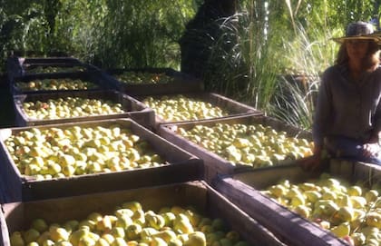 En plena pandemia se reconvirtió la producción de la empresa