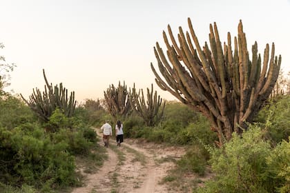 En poco más de 20 años de creada, la reserva Amilcar Romeo ha logrado recuperar especies nativas de fauna y flora