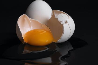 En promedio, la docena de huevo se vendió a US$4,25 durante diciembre 2022 en EE.UU.