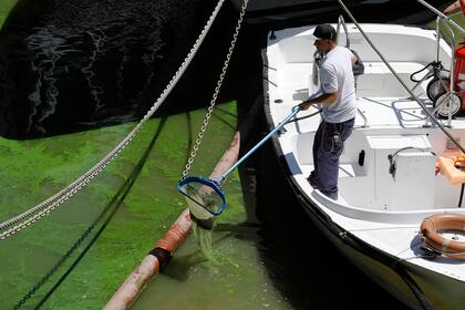 La autoridades solicitaron a la población no utilizar su agua para consumo humano ni animal, ni para higiene personal
