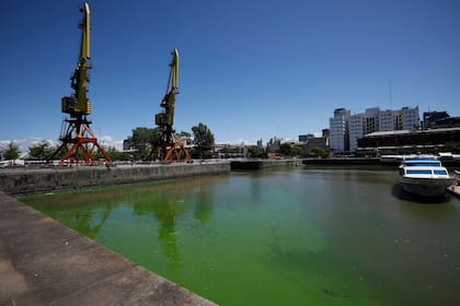 El fenómeno se registró en el dique 4 de Puerto Madero, y en municipios de la zona norte bonaerense